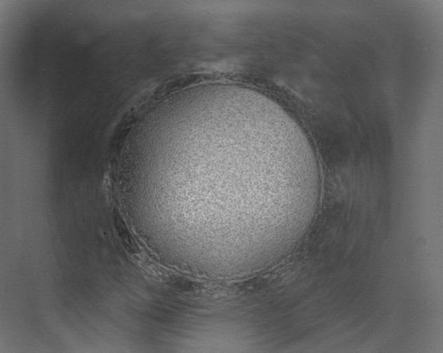 X0000073481254200608071012