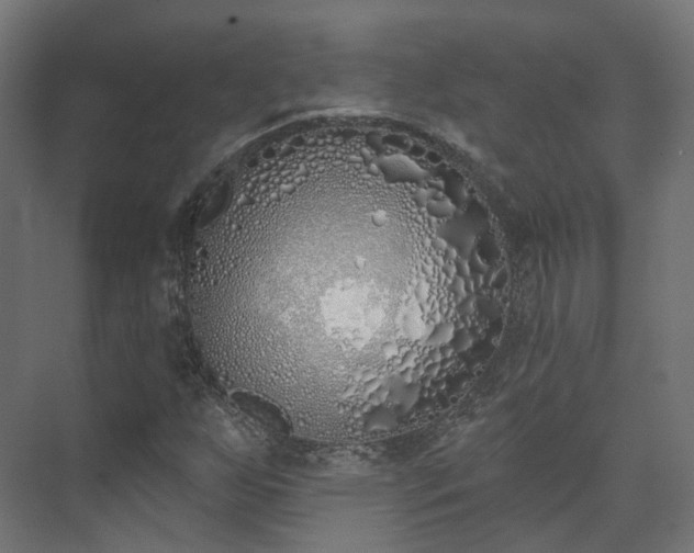 X0000073481255200608071012