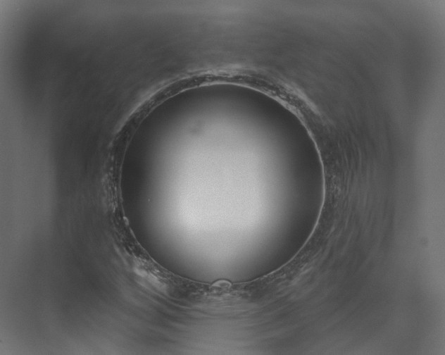 X0000073481256200608071011