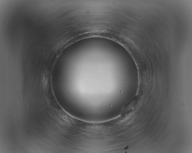 X0000073481257200608071011