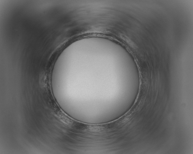 X0000073481258200608071011