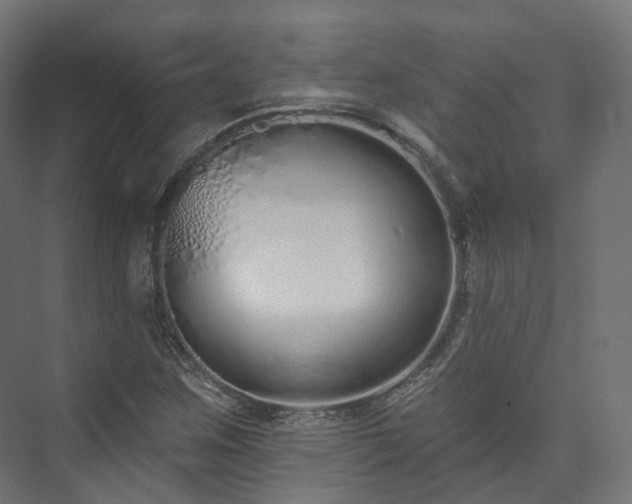 X0000073481259200608071011