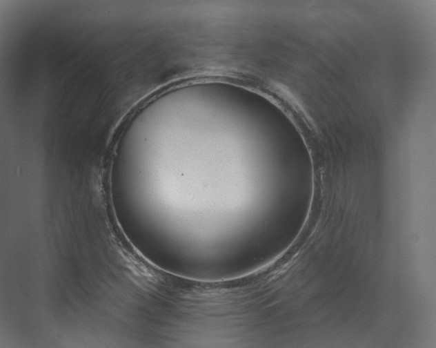 X0000073481260200608071011