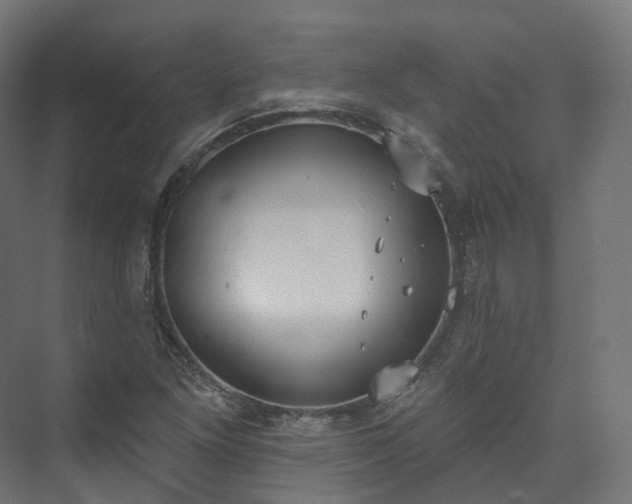 X0000073481261200608071011