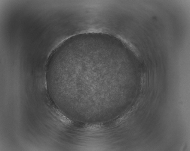 X0000073481262200608071011