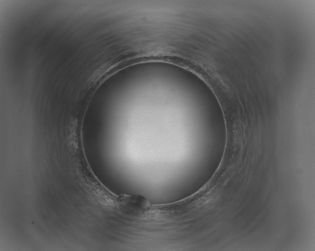 X0000073481265200608071011