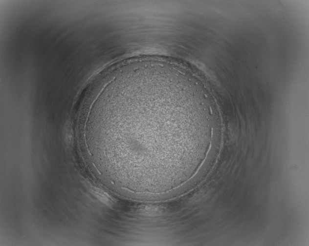 X0000073481266200608071011