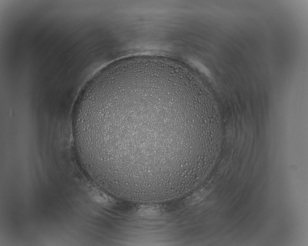 X0000073481267200608071011