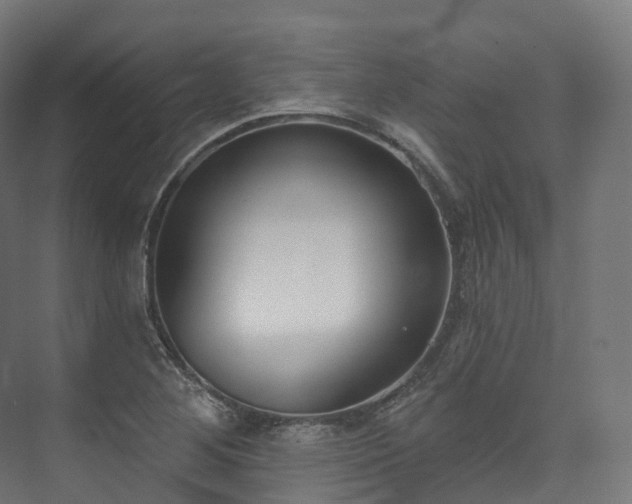 X0000073481268200608071011