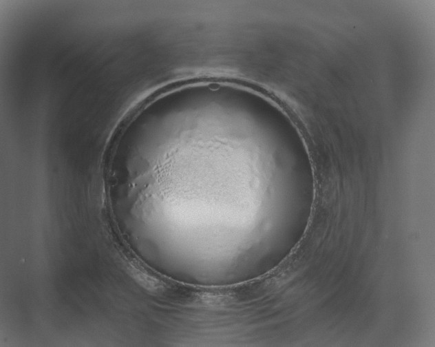 X0000073481271200608071011