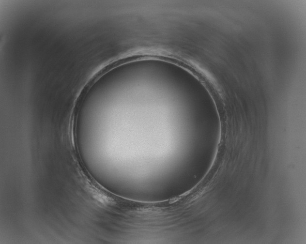 X0000073481272200608071011