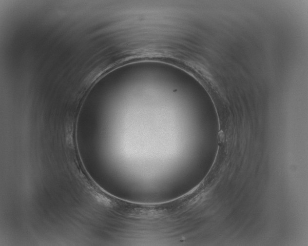 X0000073481273200608071011