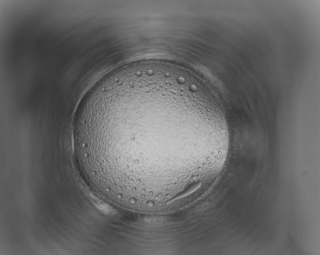 X0000073481274200608071011