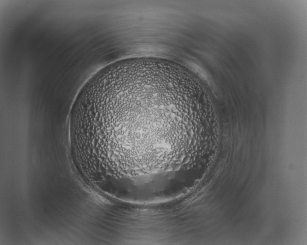 X0000073481275200608071011