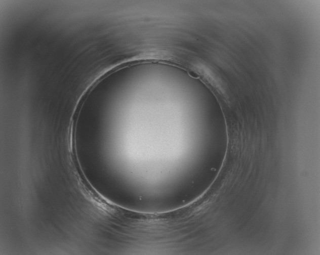 X0000073481276200608071011