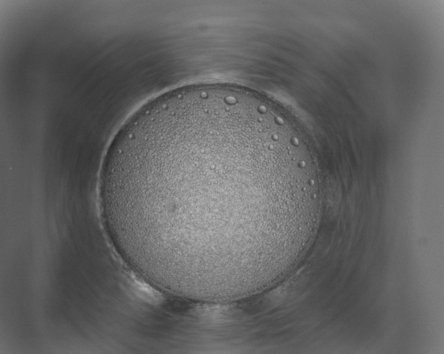 X0000073481278200608071011