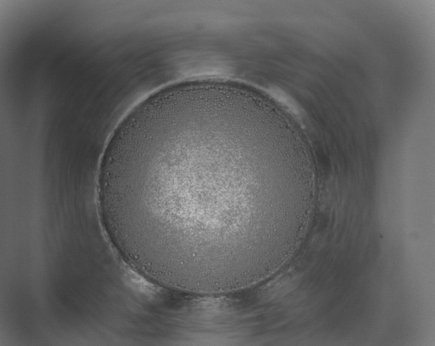 X0000073481279200608071011