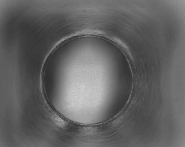 X0000073481280200608071011