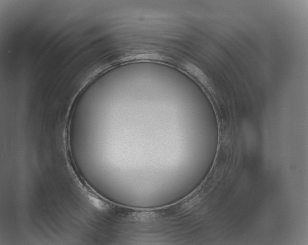 X0000073481282200608071011