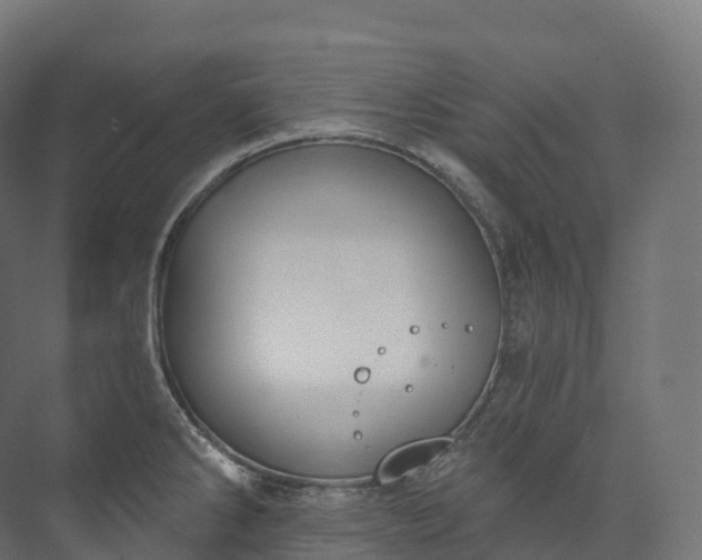 X0000073481286200608071011