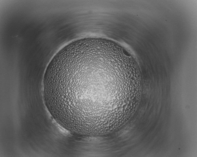 X0000073481287200608071011