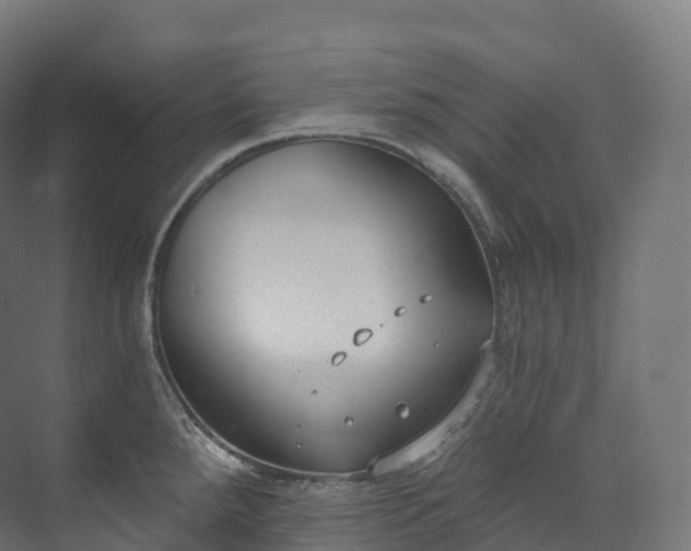 X0000073481288200608071011