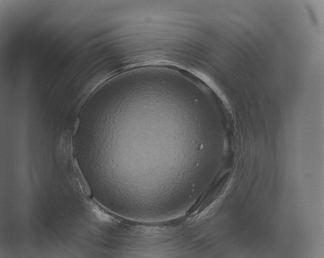 X0000073481289200608071011