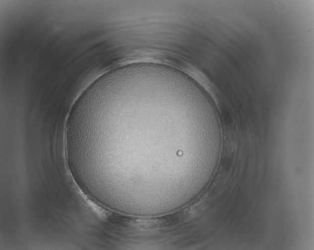 X0000073481290200608071011