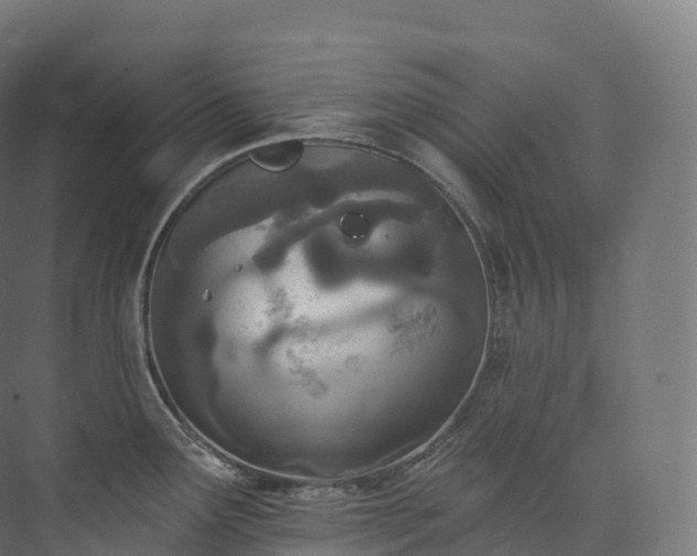 X0000073481291200608071011