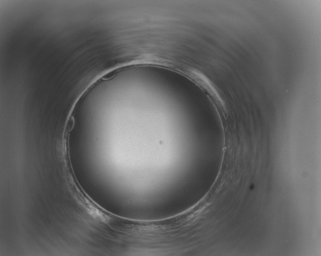 X0000073481292200608071011