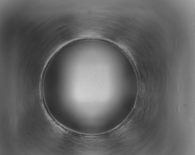 X0000073481295200608071011