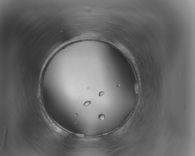 X0000073481296200608071011