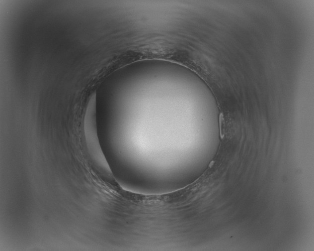 X0000073481297200608071010