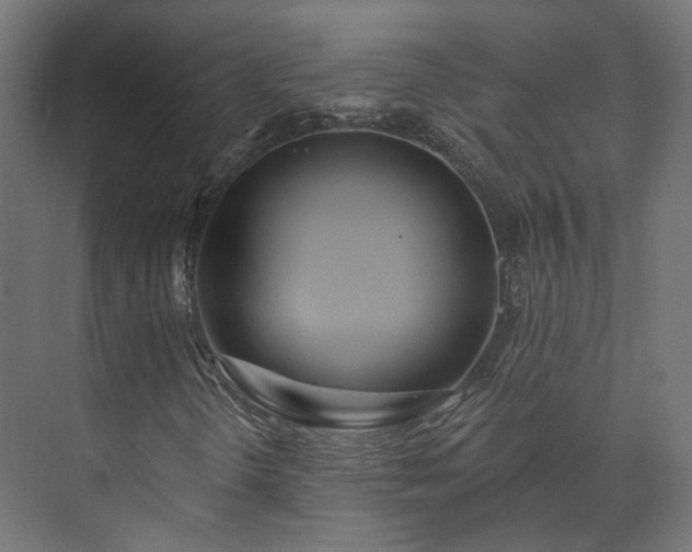 X0000073481298200608071010