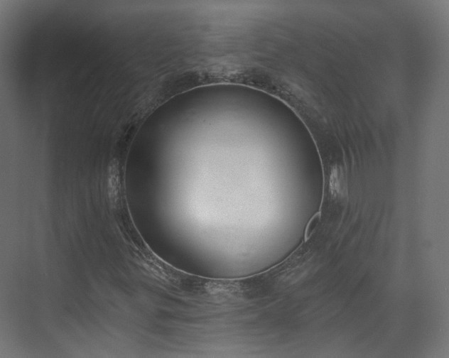 X0000073481299200608071010