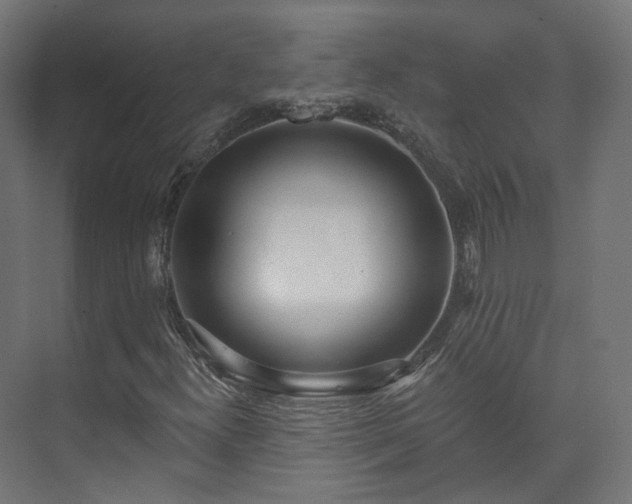 X0000073481300200608071010