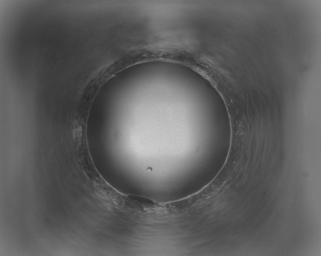 X0000073481302200608071010