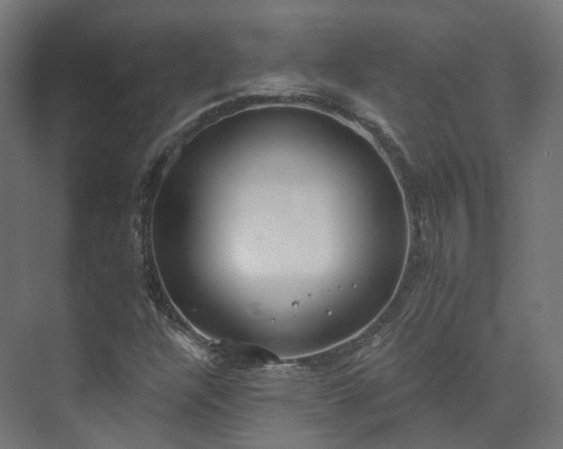 X0000073481304200608071010