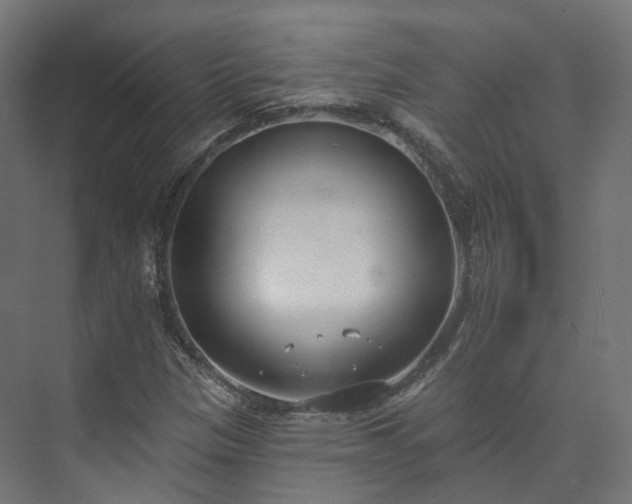 X0000073481305200608071010