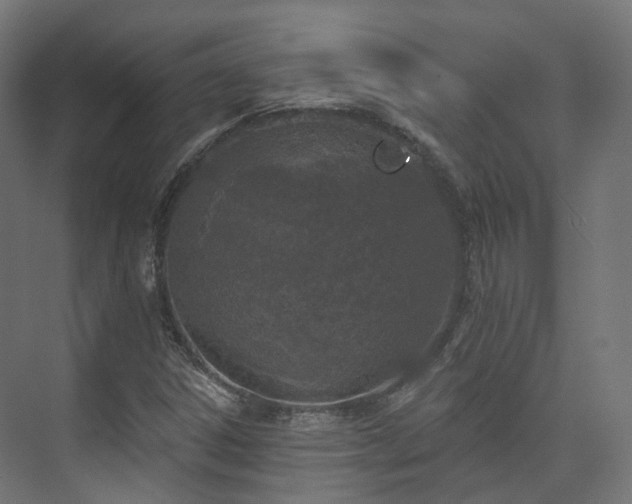 X0000073481306200608071010