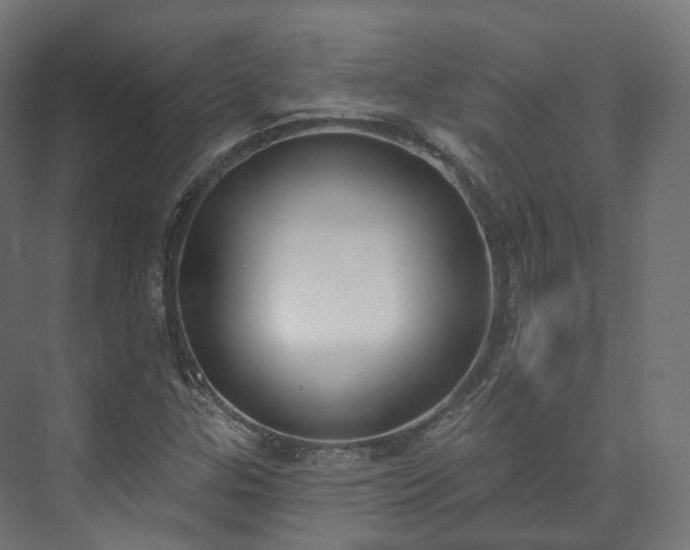 X0000073481307200608071010