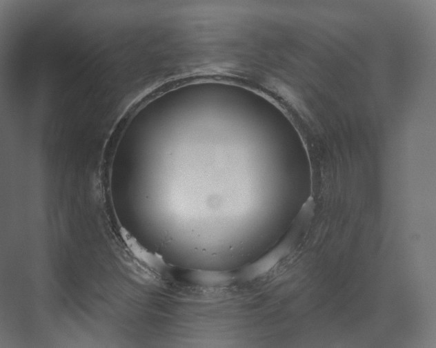 X0000073481308200608071010