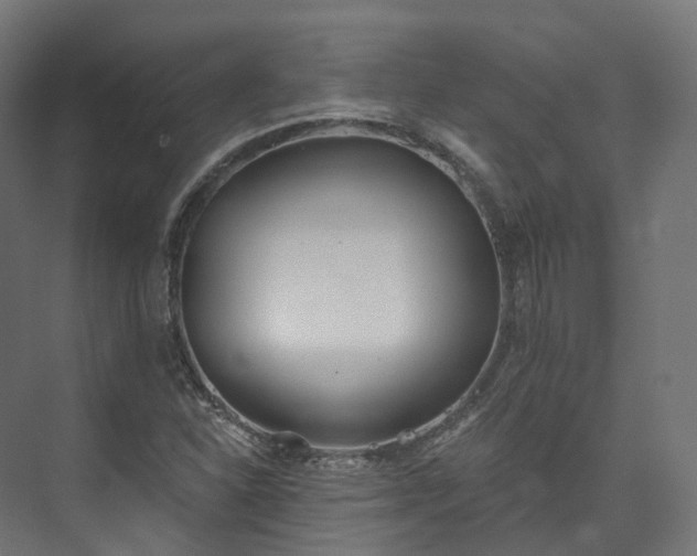 X0000073481310200608071010