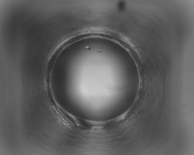 X0000073481312200608071010