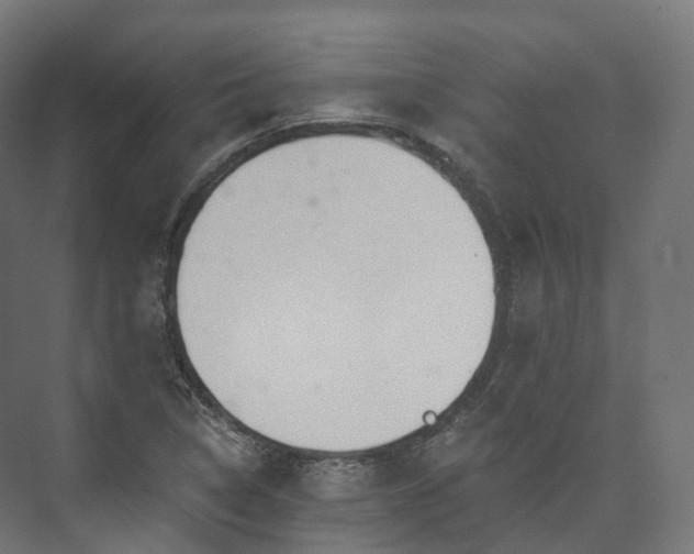 X0000073481314200608071010