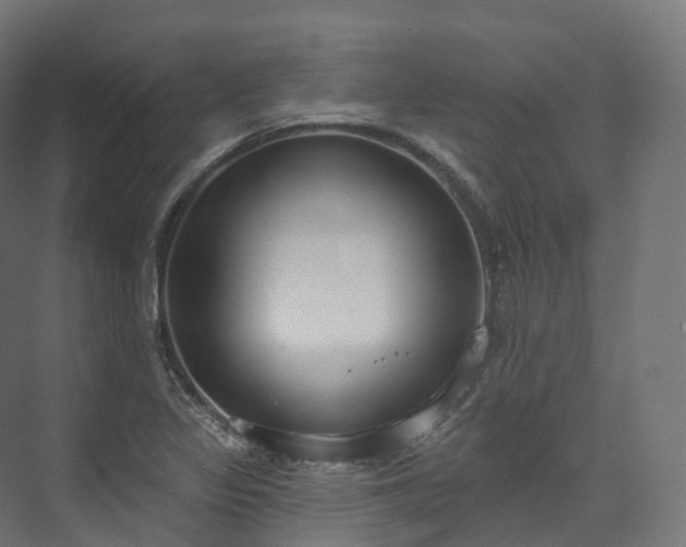 X0000073481317200608071010