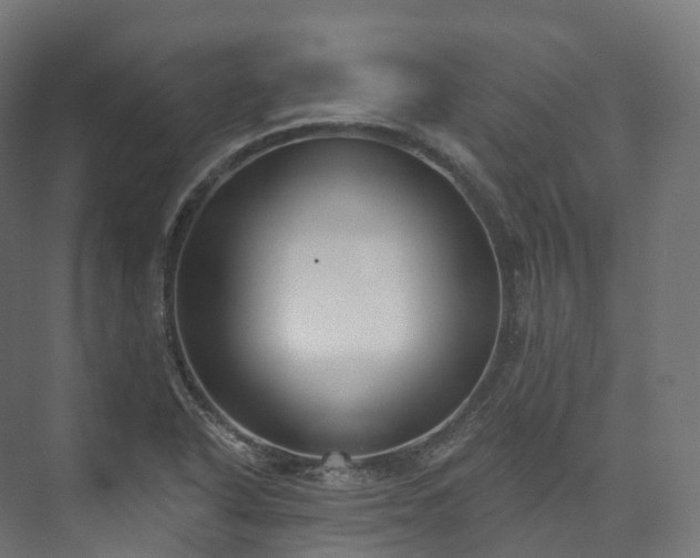 X0000073481318200608071010