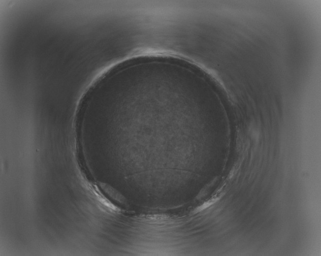 X0000073481319200608071010