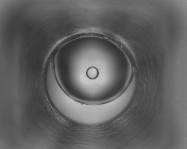 X0000073481320200608071010