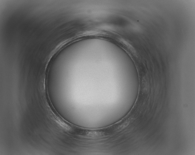 X0000073481322200608071010